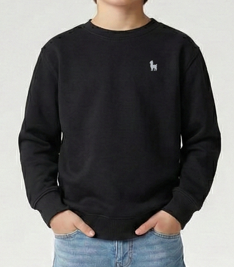 The Party Sweatshirt