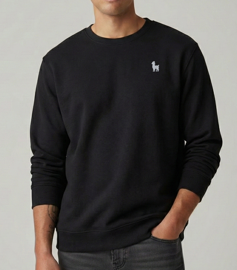 The Party Sweatshirt