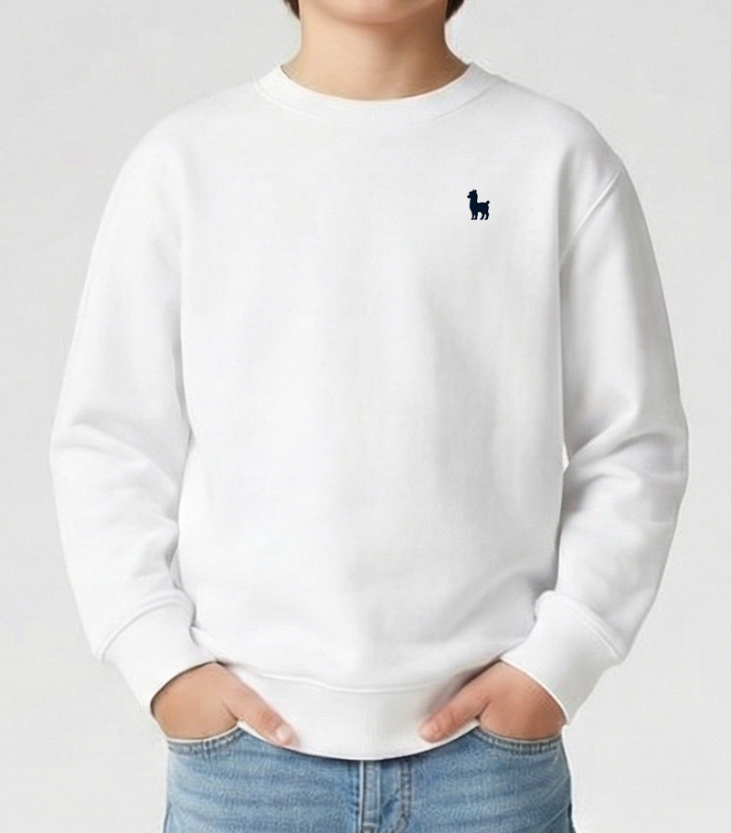 The Party Sweatshirt